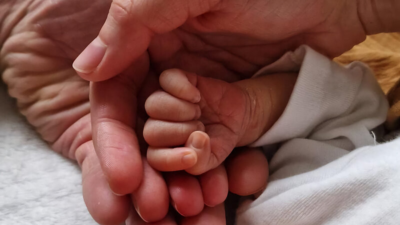 [Translate to Français:] 